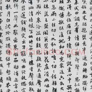 清代 张迪 行楷《张迪书白居易琵琶行并序(2)》毛笔书法行楷作品图片欣赏