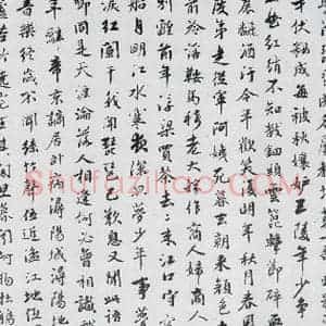 清代 张迪 行楷《张迪书白居易琵琶行并序(3)》毛笔书法行楷作品图片欣赏