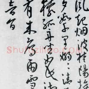 明代 王宠 草书《王宠书王昌龄郑县宿陶太公馆中赠冯六元二等十二首(27)》毛笔书法草书作品图片欣赏
