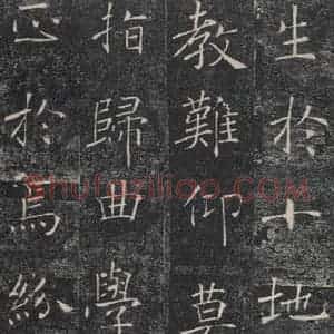 唐代 褚遂良 楷书《雁塔圣教序 之十二》毛笔书法楷书作品图片欣赏