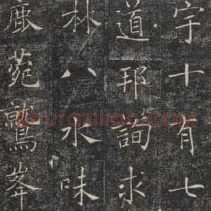 唐代 褚遂良 楷书《雁塔圣教序 之二十》毛笔书法楷书作品图片欣赏