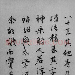 清代 王拯 行书《宋拓大观帖 说明之二》毛笔书法行书作品图片欣赏