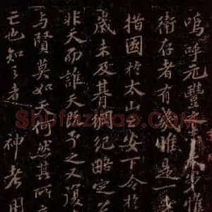 宋代 苏轼《故赠太师追封温国公司马光安葬祭文之一》毛笔书法作品图片欣赏
