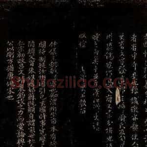 宋代 范仲淹 曾宏父 行书 楷书《与仲仪待制书之三 范仲淹帖跋》毛笔书法行书 楷书作品图片欣赏