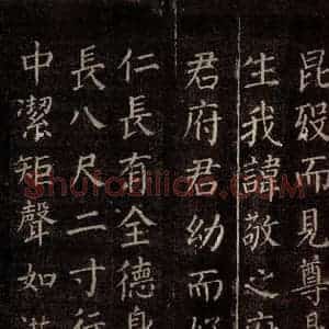 唐代 颜真卿 楷书《郭公庙碑铭(上) 之十一》毛笔书法楷书作品图片欣赏