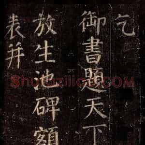 唐代 颜真卿 楷书《乞御书题放生池碑额表 之一》毛笔书法楷书作品图片欣赏