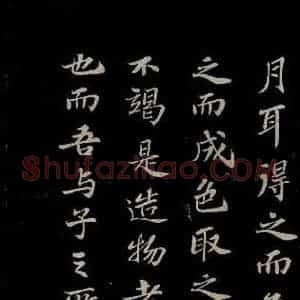 北宋 苏轼《赤壁赋之十二》毛笔书法作品图片欣赏