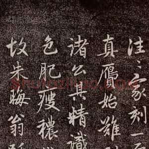 元代 赵孟頫 行书《兰亭序十三跋及临本 之十一》毛笔书法行书作品图片欣赏