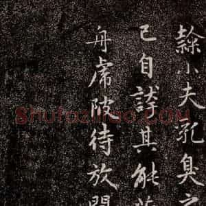 元代 赵孟頫 行书《兰亭序十三跋及临本 之二十一》毛笔书法行书作品图片欣赏