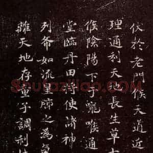 宋代 宋高宗 小楷《临黄庭经 之八》毛笔书法小楷作品图片欣赏