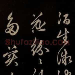 明代 俞和 草书《前有樽酒行 之二》毛笔书法草书作品图片欣赏