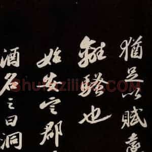 宋代 苏轼 草书《中山松醪赋并跋 之十》毛笔书法草书作品图片欣赏