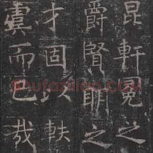 唐代 褚遂良 楷书《孟法师碑 之七》毛笔书法楷书作品图片欣赏