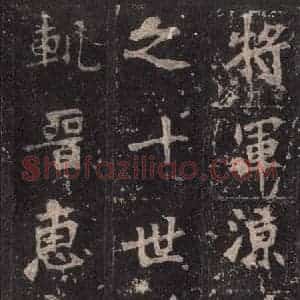 北魏 楷书《张猛龙碑 之八》毛笔书法楷书作品图片欣赏