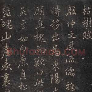 唐代 褚遂良 楷书《古树赋·哀册 之一》毛笔书法楷书作品图片欣赏
