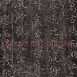 唐代 褚遂良 楷书《古树赋·哀册 之十九》毛笔书法楷书作品图片欣赏