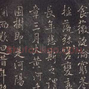 唐代 褚遂良 楷书《古树赋·哀册 之六》毛笔书法楷书作品图片欣赏