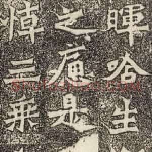 北魏 楷书《魏灵藏薛法绍造像记 之五》毛笔书法楷书作品图片欣赏