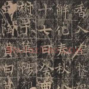 唐代 王玄宗 楷书《王洪范碑 之四十四》毛笔书法楷书作品图片欣赏