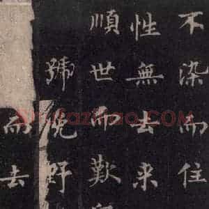 唐代 裴休 楷书《圭峰禅师碑 之五十》毛笔书法楷书作品图片欣赏