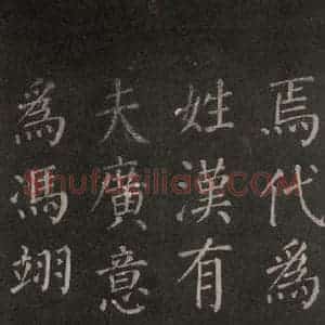 唐代 颜真卿 楷书《郭家庙碑 忠义堂本之八》毛笔书法楷书作品图片欣赏