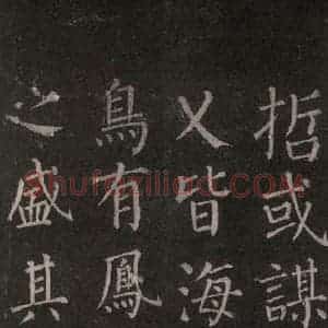 唐代 颜真卿 楷书《郭家庙碑 忠义堂本之十一》毛笔书法楷书作品图片欣赏