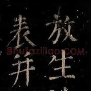 唐代 颜真卿 楷书《乞题放生池额表 之二》毛笔书法楷书作品图片欣赏