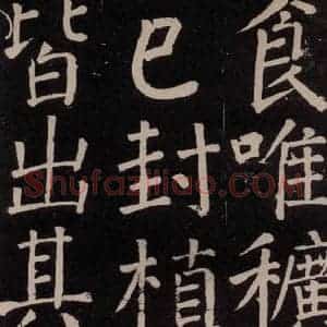 唐代 颜真卿 楷书《李玄靖碑 之二十》毛笔书法楷书作品图片欣赏