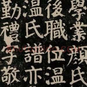 唐代 颜真卿 楷书《颜氏家庙碑 之三十一》毛笔书法楷书作品图片欣赏