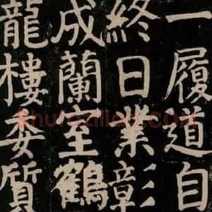 唐代 颜真卿 楷书《颜氏家庙碑 之三十五》毛笔书法楷书作品图片欣赏