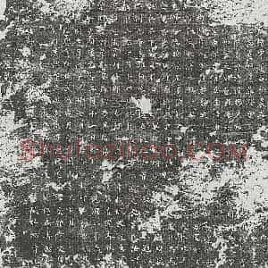 唐代 楷书墓志拓片《唐杨君植墓志》高清图片欣赏