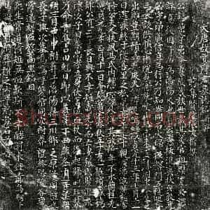 唐代 楷书墓志拓片《唐贾岩墓志》高清图片欣赏