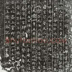 唐代 正书墓志拓片《隋秦君妻王思墓志》高清图片欣赏