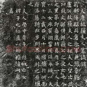 唐代 篆书 楷书墓志拓片《唐卢君妻苏氏墓志》高清图片欣赏
