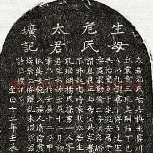 元代 楷书 草书墓志拓片《元丘震龙妻危氏墓志》高清图片欣赏