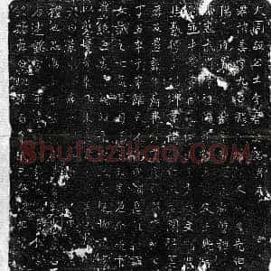 唐代 正书墓志拓片《武周李善墓志》高清图片欣赏