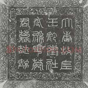 唐代 楷书墓志拓片《唐苑大智墓志》高清图片欣赏