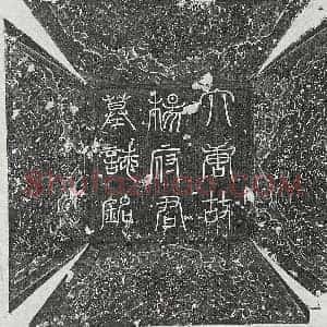 唐代 篆书 正书墓志拓片《唐杨思言墓志》高清图片欣赏