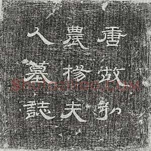 唐代 隶书墓志拓片《唐韩君妻杨氏墓志》高清图片欣赏