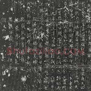 唐代 正书墓志拓片《唐□惟忠妻牛氏墓志》高清图片欣赏