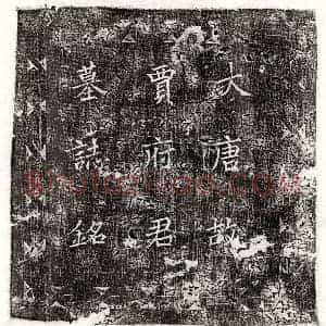唐代 楷书墓志拓片《唐贾蓁墓志》高清图片欣赏