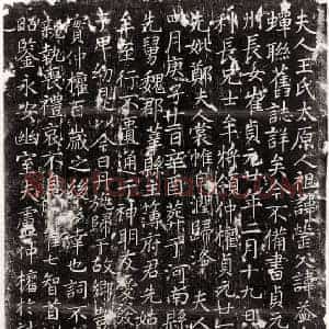 唐代 楷书墓志拓片《唐卢仲权妻王普功德墓志》高清图片欣赏
