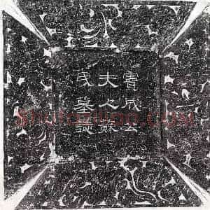 唐代 正书 楷书墓志拓片《唐窦诫盈妻苏氏墓志》高清图片欣赏