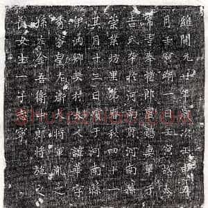 唐代 篆书 楷书墓志拓片《唐卢鶠妻单于吉华墓志》高清图片欣赏