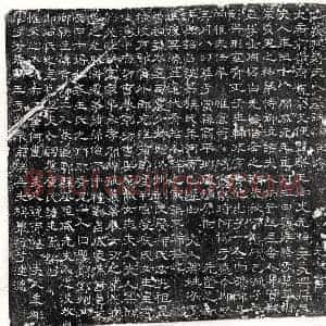 唐代 隶书墓志拓片《唐王无悔妻蒋氏墓志》高清图片欣赏