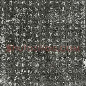 唐代 楷书墓志拓片《唐秦元金墓志》高清图片欣赏