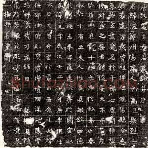 唐代 正书墓志拓片《唐娄俊墓志》高清图片欣赏