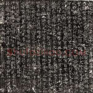 唐代 楷书墓志拓片《唐韦望墓志》高清图片欣赏