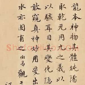 明代江宁王伯易楷书题跋九龙图