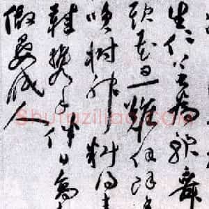 祝允明草书欣赏《唐寅落花诗八首》